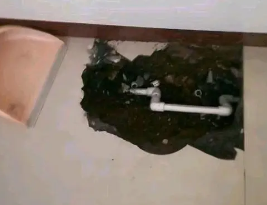 昂仁卫生间测漏水多少钱